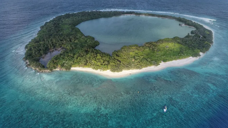 Coconut palm-fringed sandy beaches in Port Blair