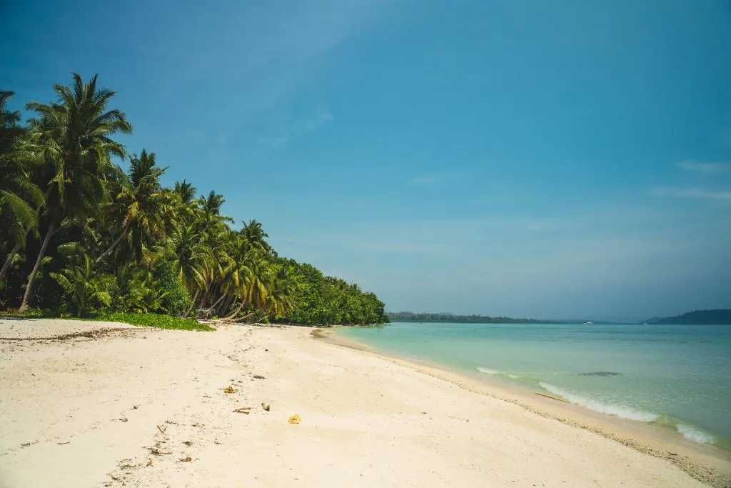 Natural valleys and surroundings of Kalapathar Beach