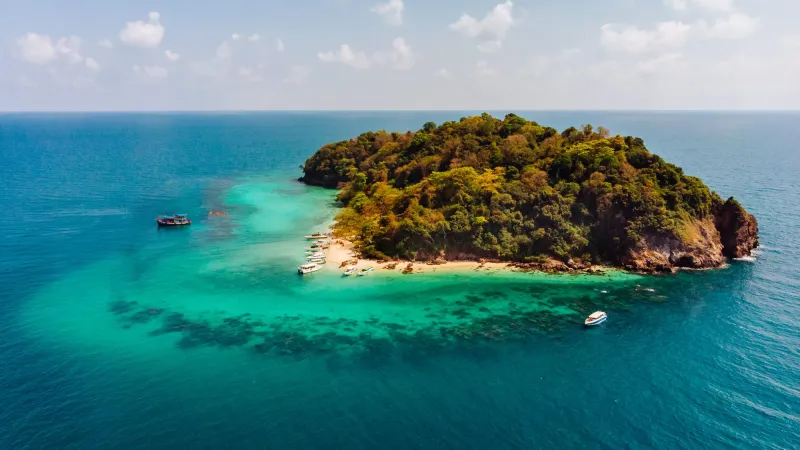 Coconut palm-fringed sandy beaches in Port Blair