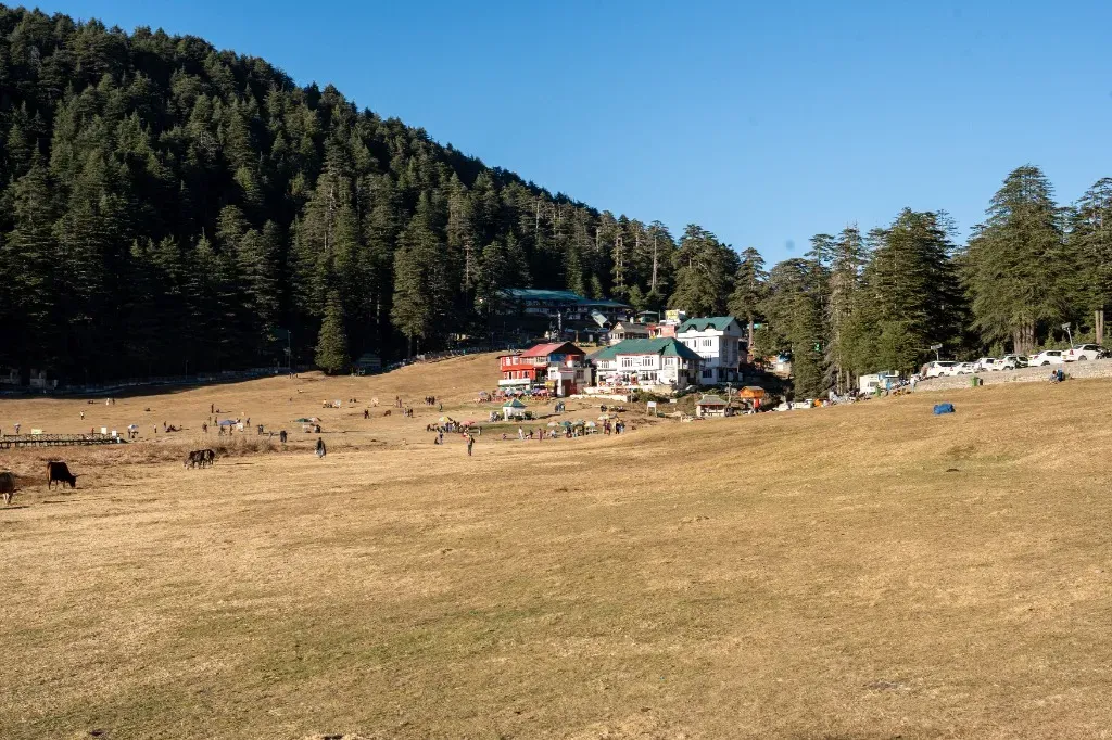 Snowy slopes of the Dhauladhar range seen from Dalhousie