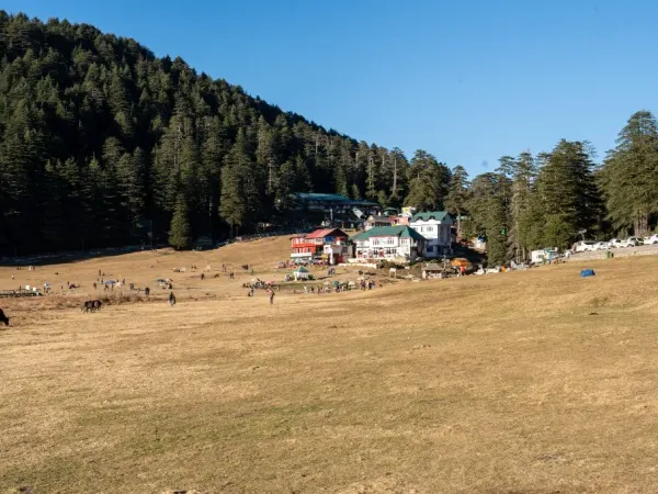 Snowy slopes of the Dhauladhar range seen from Dalhousie