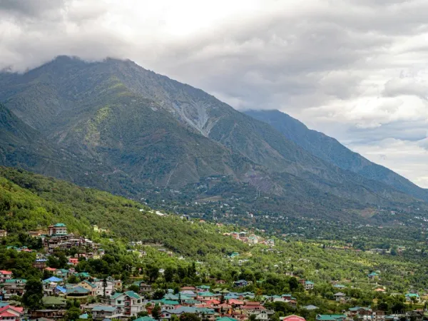 Lush tea gardens and misty hills of Dharamshala