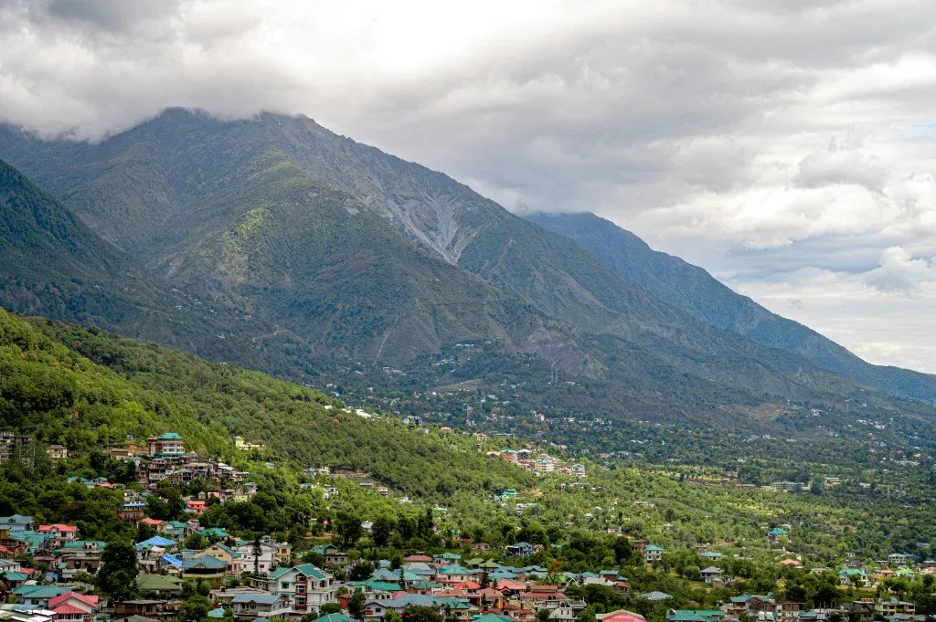 Lush tea gardens and misty hills of Dharamshala