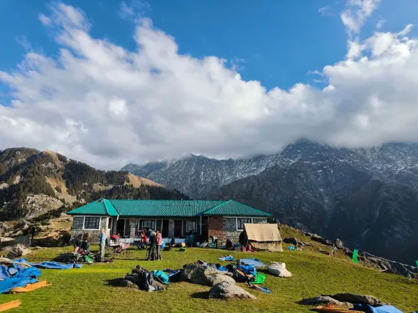 Lush tea gardens and misty hills of Dharamshala
