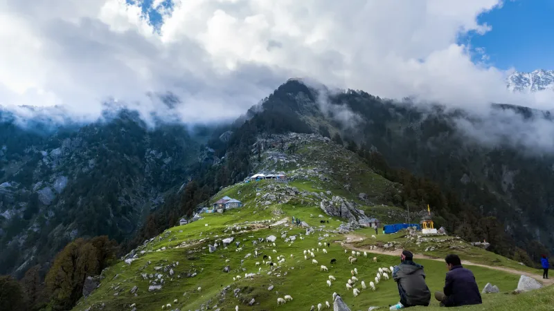 Lush tea gardens and misty hills of Dharamshala