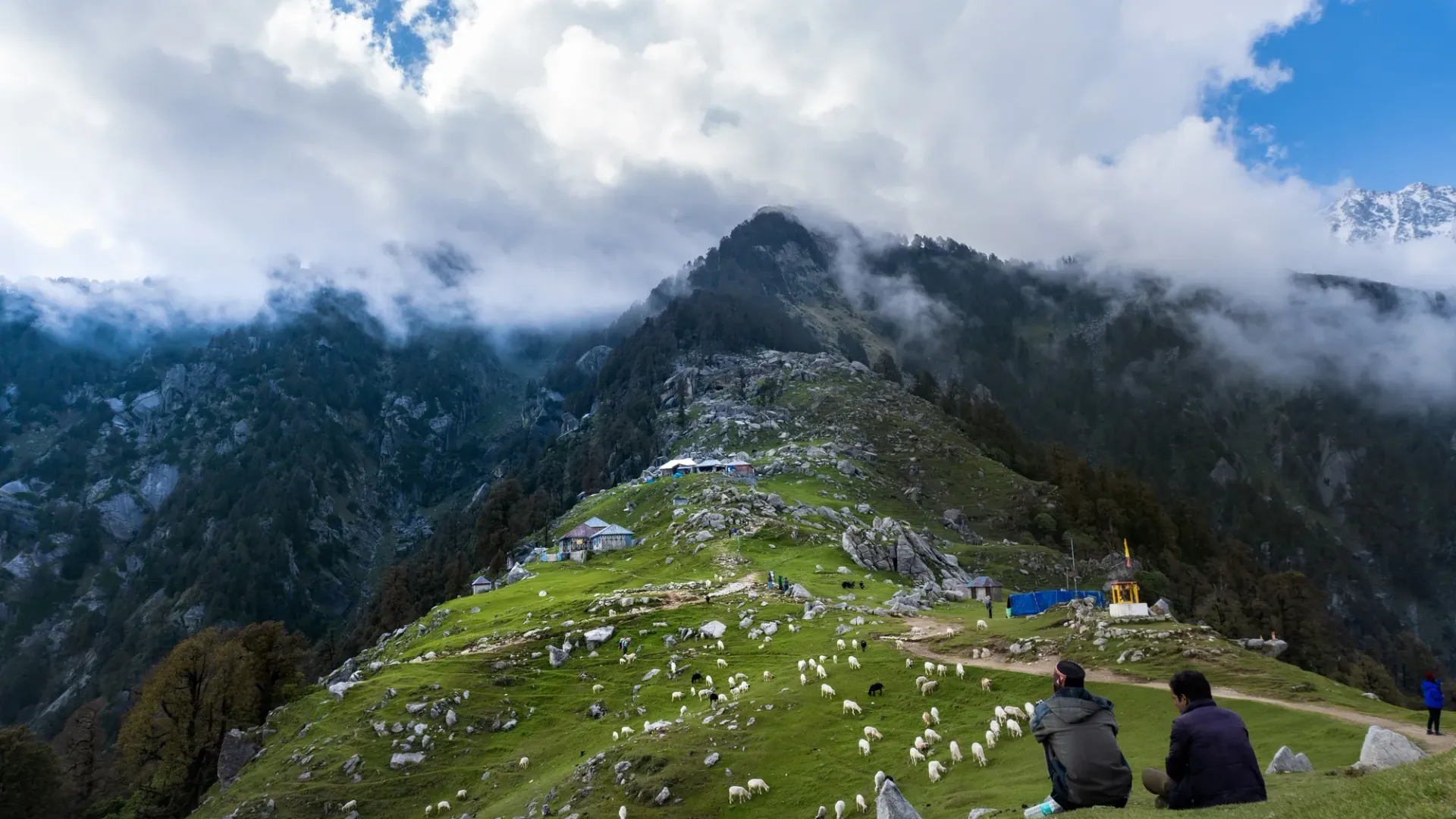 Serene Buddhist monasteries set against the Dhauladhar mountains in Dharamshala