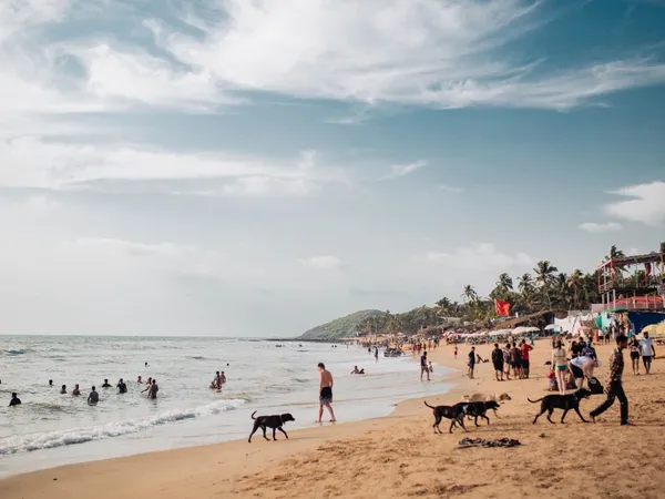 Natural valleys and surroundings of South Goa