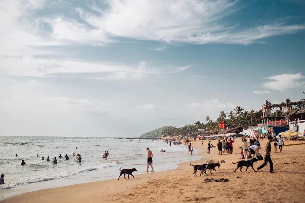 Natural valleys and surroundings of South Goa