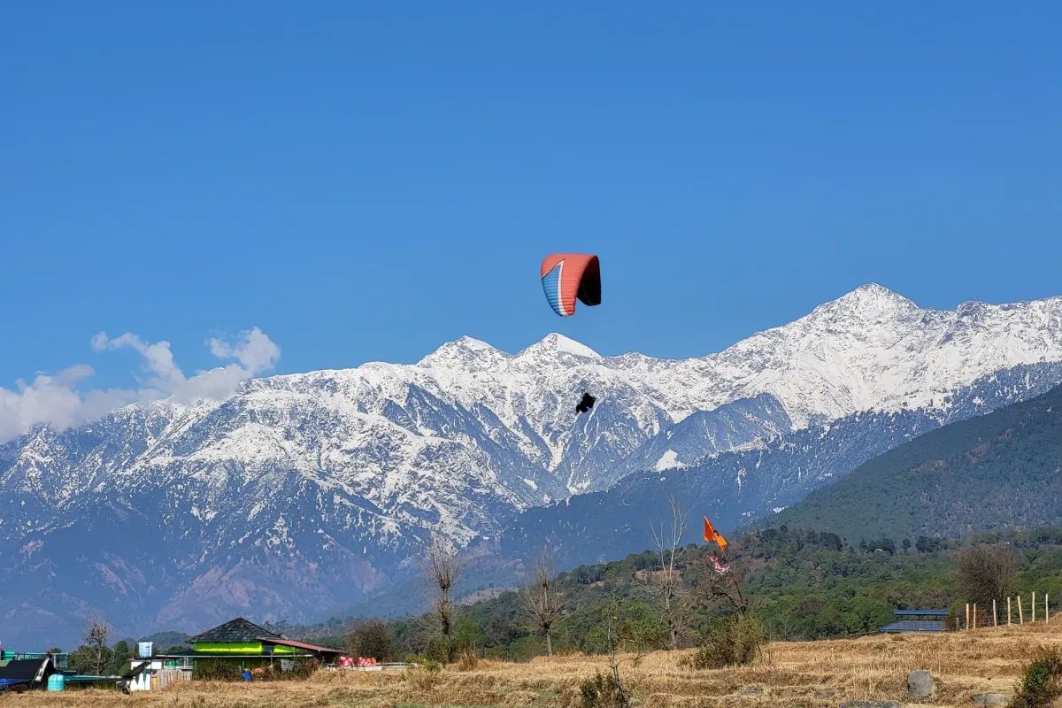 Charming cedar forests and misty mountains in Dalhousie