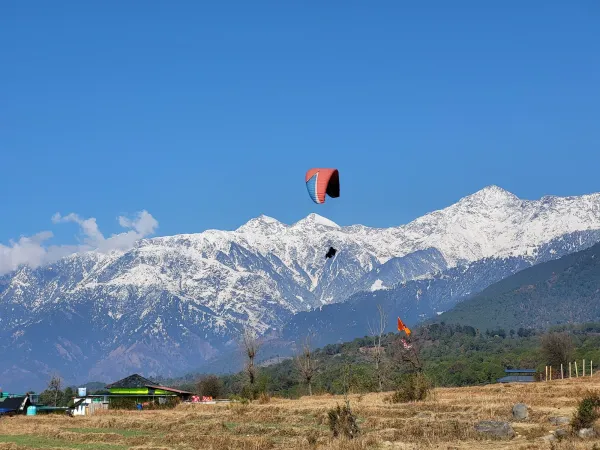 Charming cedar forests and misty mountains in Dalhousie