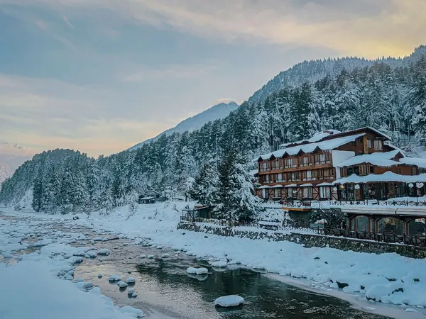 Lush pine forests and misty mountain peaks in Pahalgam