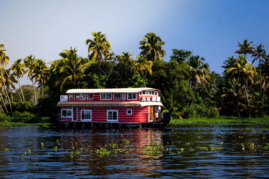 Natural valleys and surroundings of Alleppey