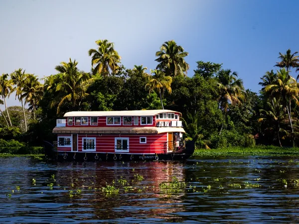 Natural valleys and surroundings of Alleppey