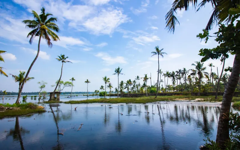 Kerala Odyssey