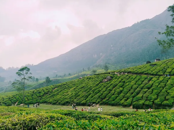 Natural valleys and surroundings of Thekkady