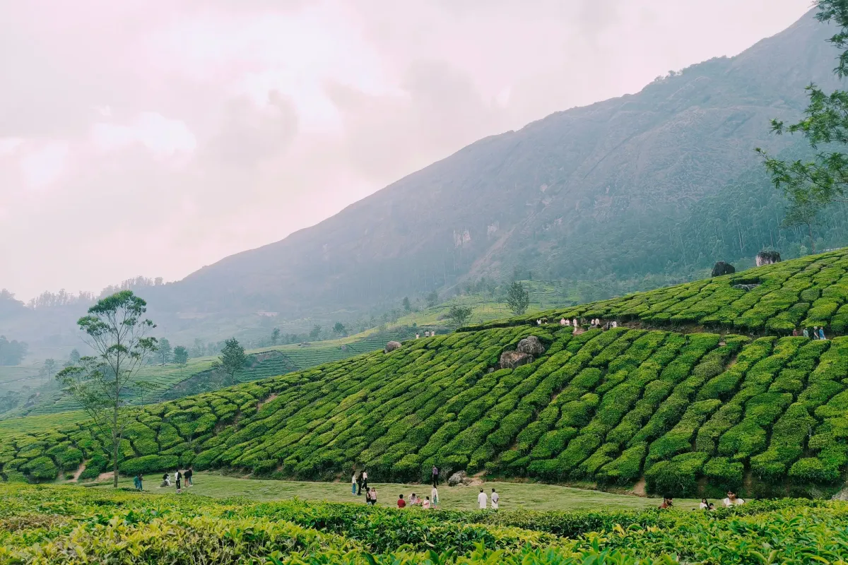 Natural valleys and surroundings of Thekkady