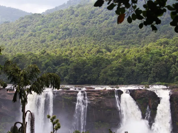 Natural valleys and surroundings of Alleppey
