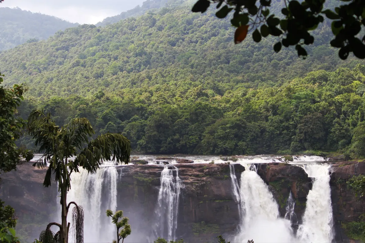 Natural valleys and surroundings of Alleppey