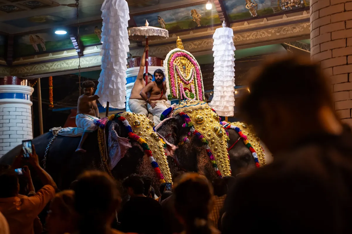 Vibrant spice markets and harbors of Cochin