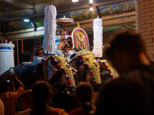 Vibrant spice markets and harbors of Cochin