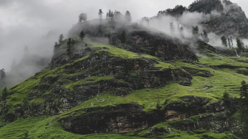 Natural valleys and surroundings of Hadimba Temple