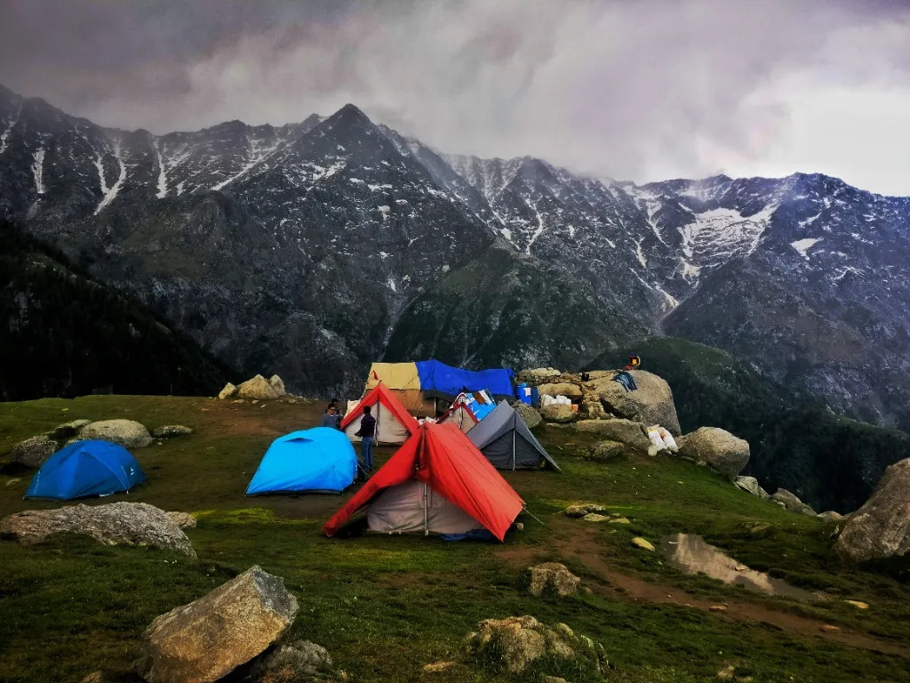 Lush tea gardens and misty hills of Dharamshala