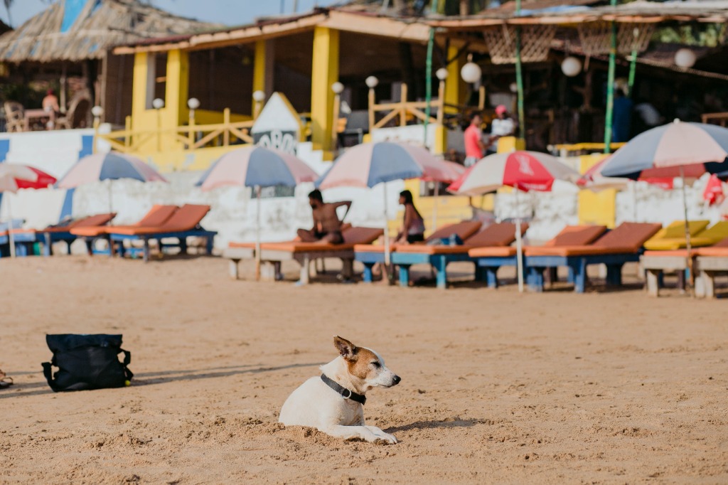 Natural valleys and surroundings of South Goa